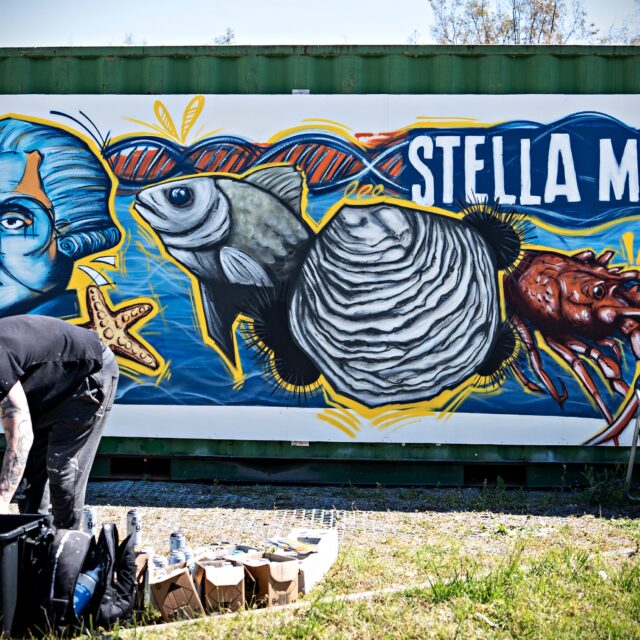 Fresque_Stella Mare_Piombu1