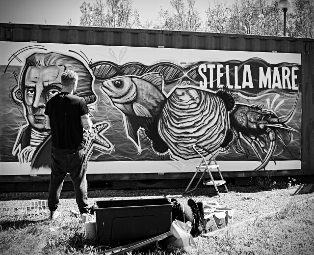 Fresque_Stella Mare_Piombu3
